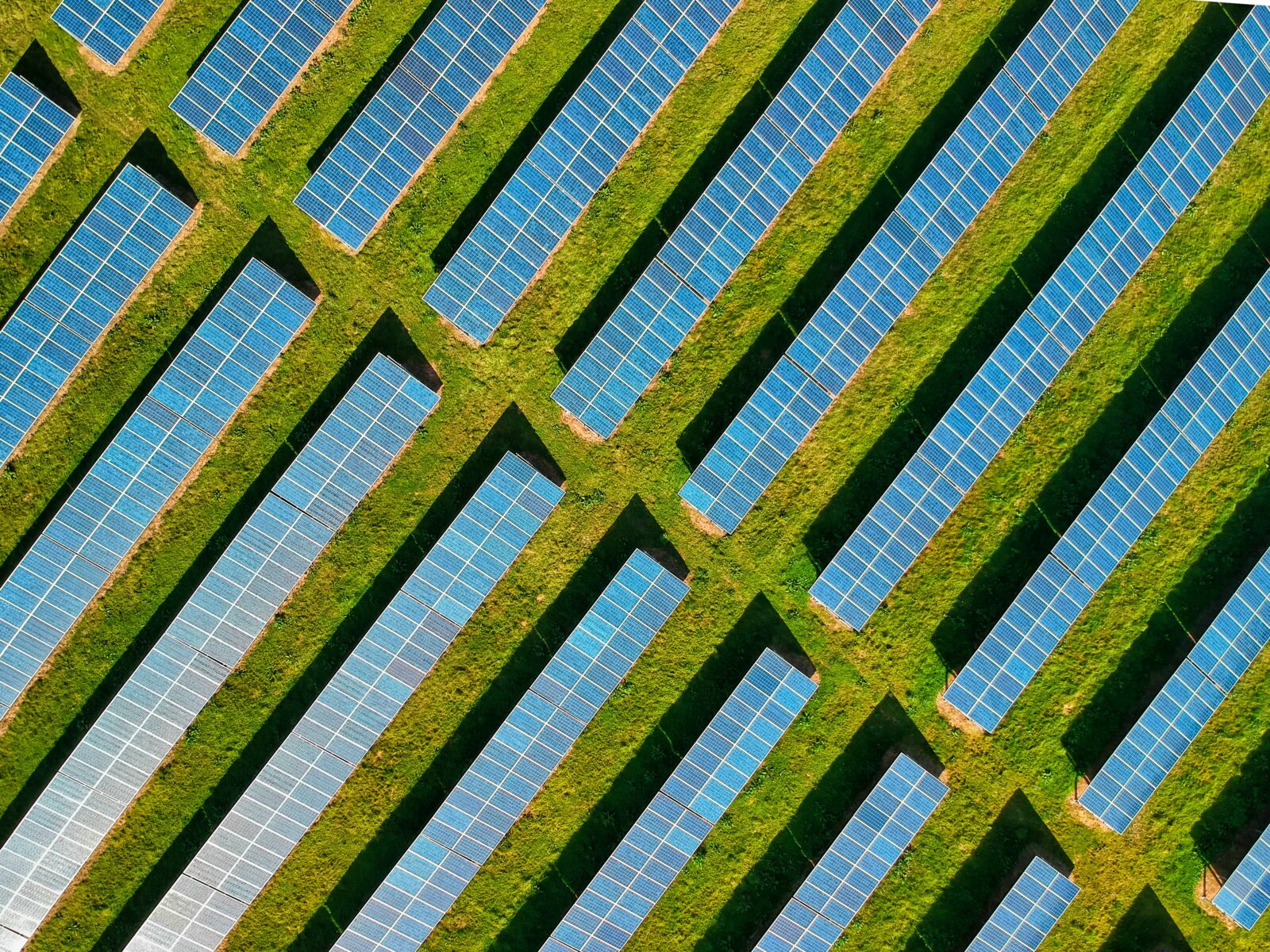 Birds eye view of a solar farm
