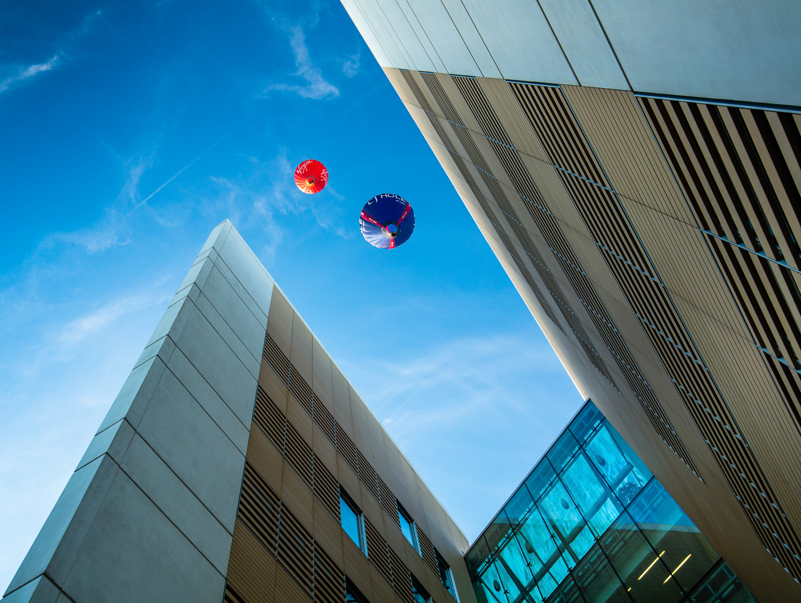 upward shot of two hot hair balloons floating over an office