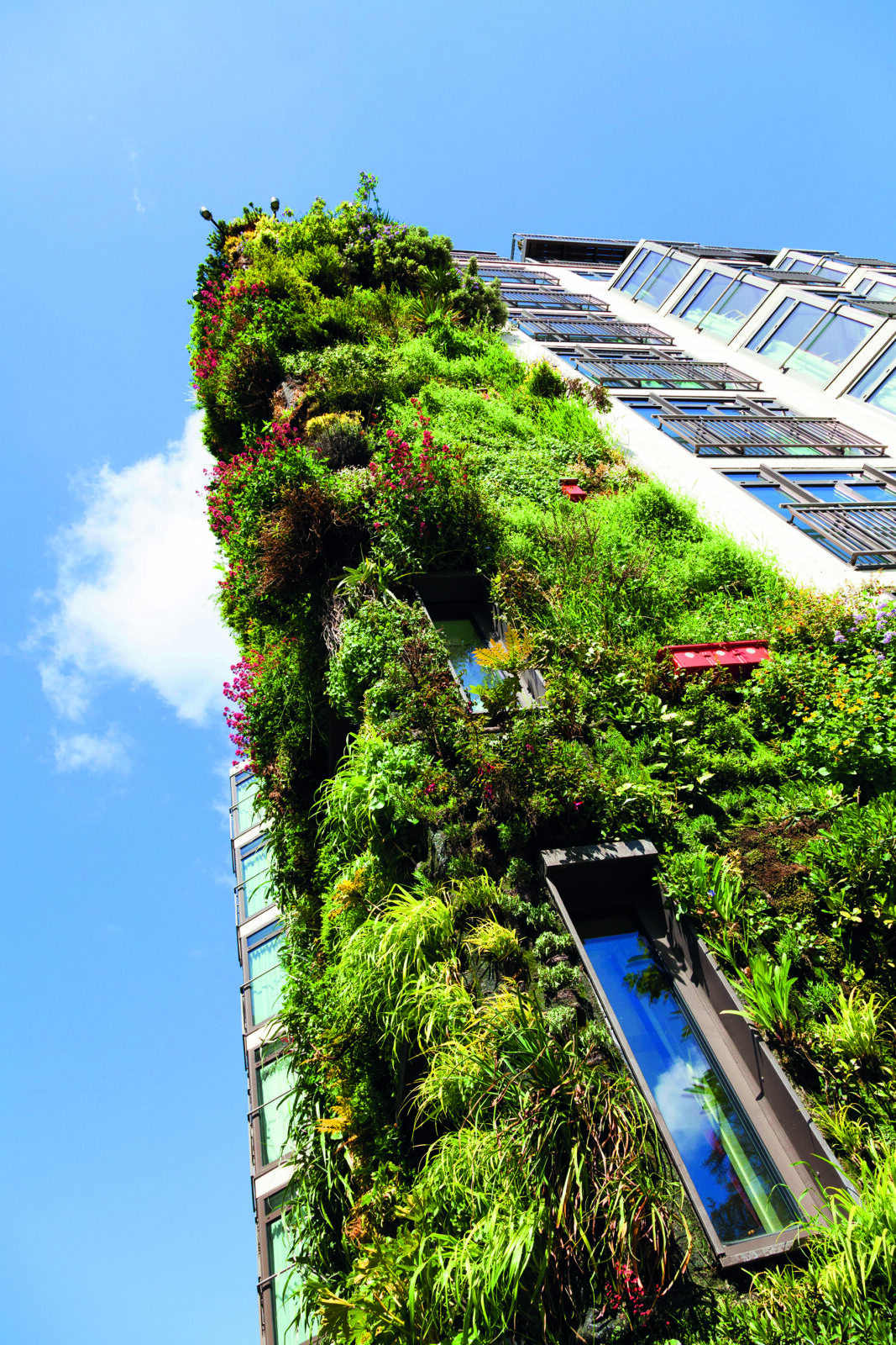 The living wall on the Athenaeum Hotel Piccadilly London