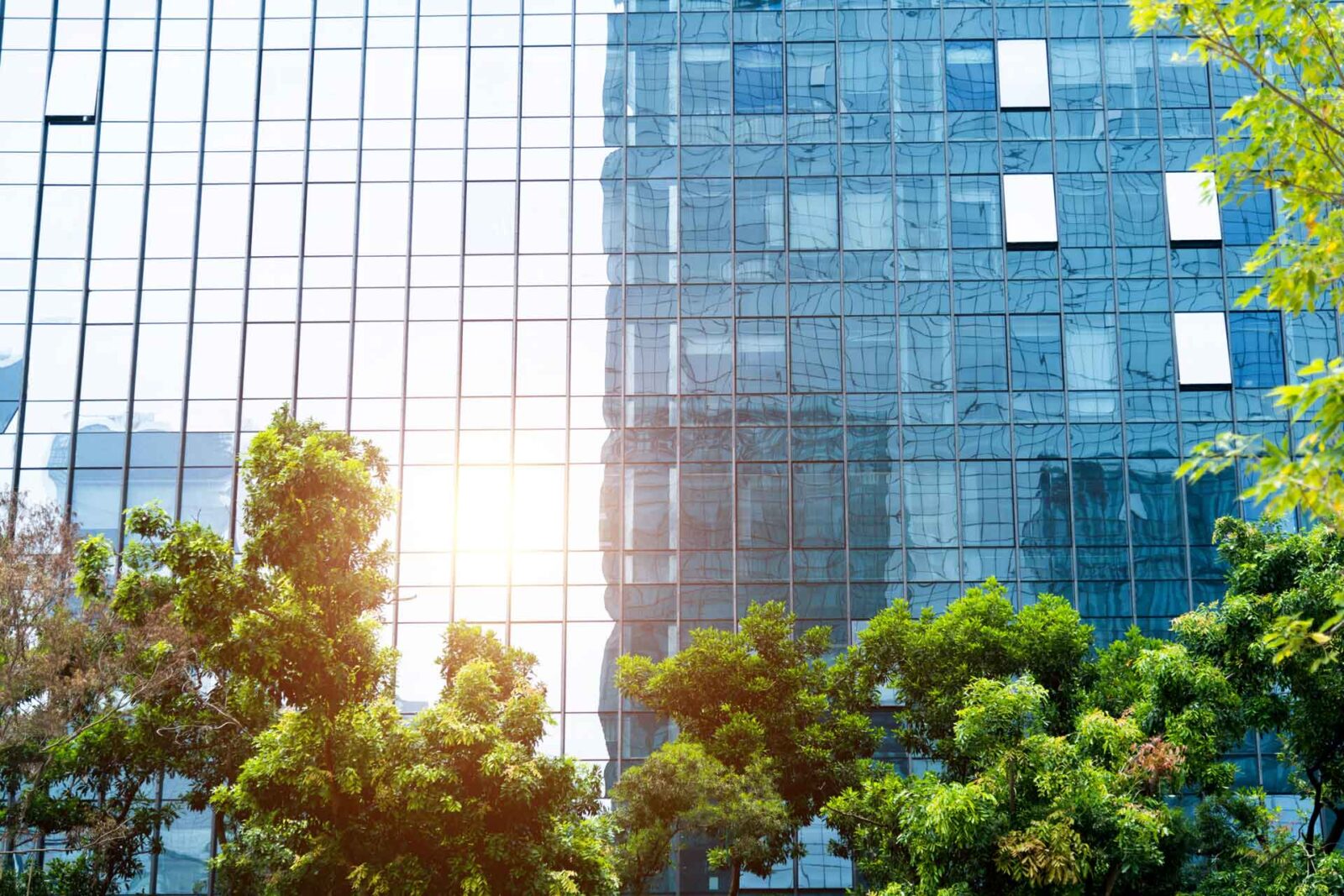 Responsible business report and ESG represented by an image of trees in front of a modern glass-fronted building