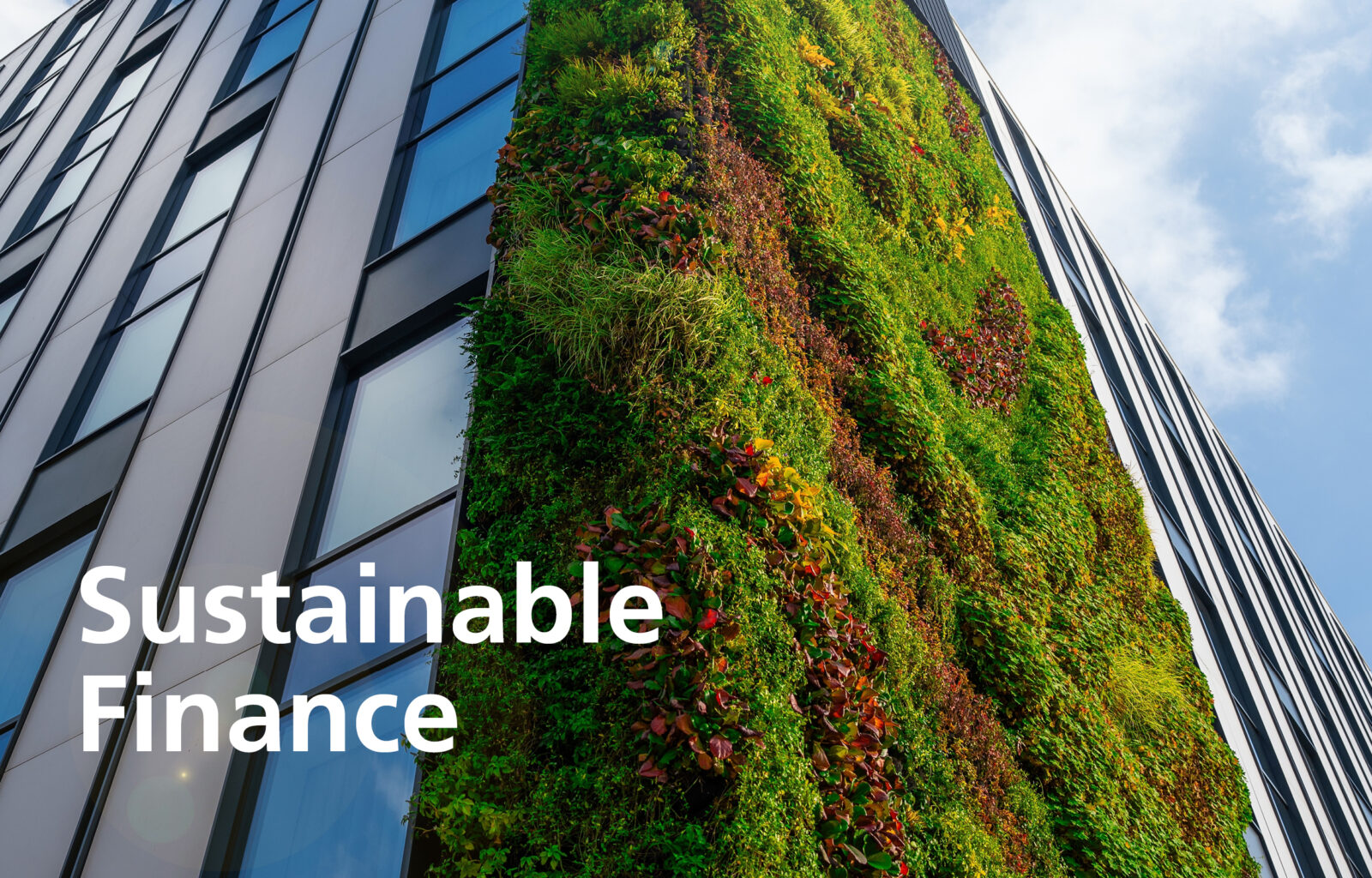 office building with plants growing up the side with text saying sustainable finance