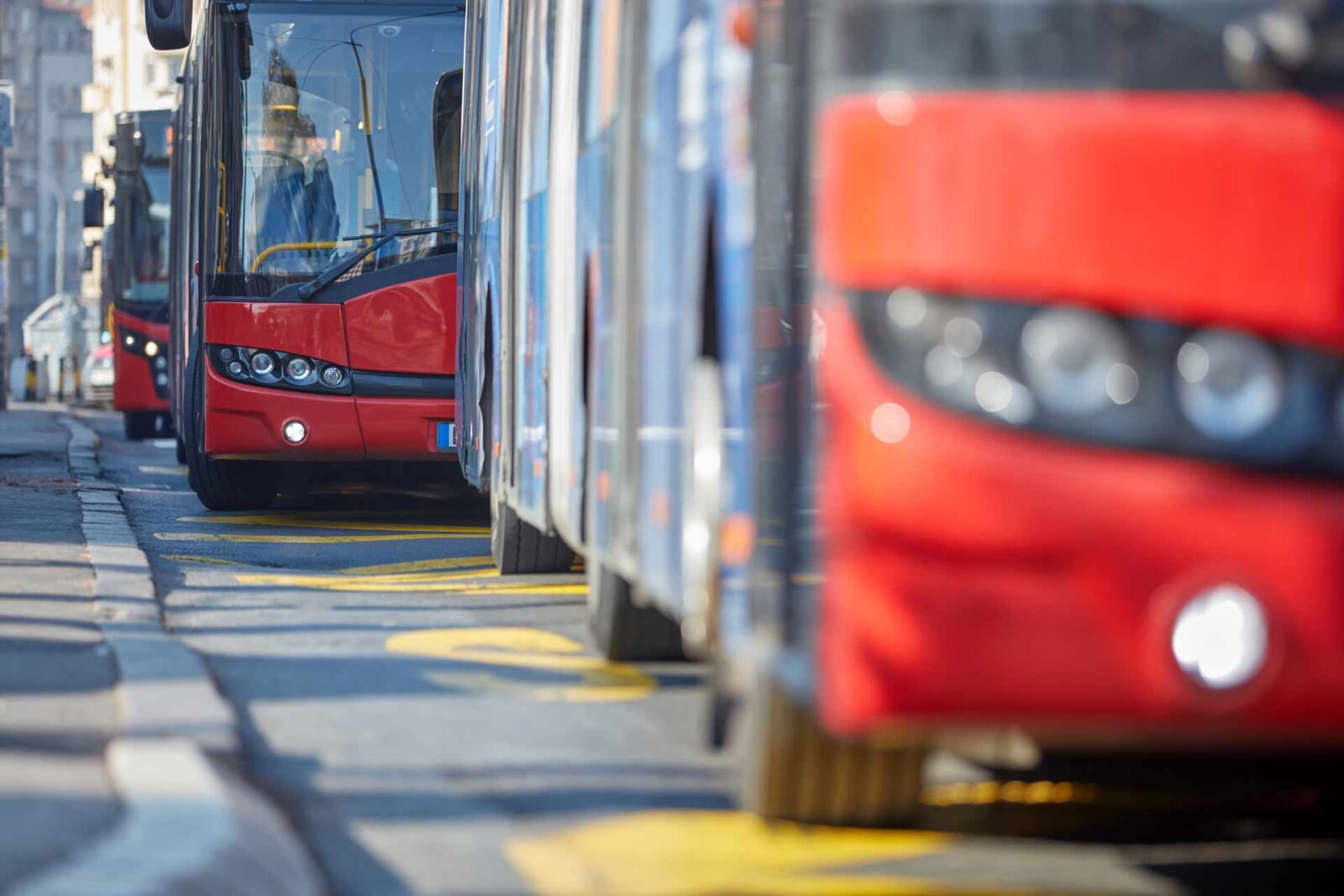 A close-up image of sustainable transport buses