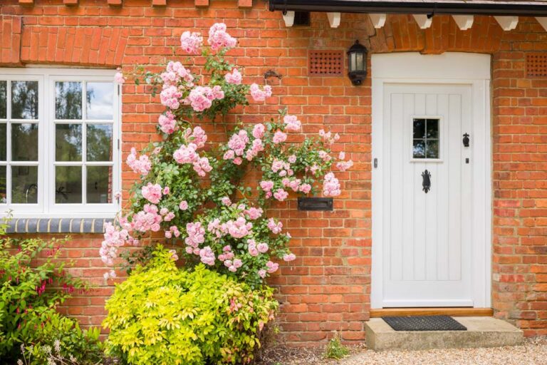 English Victorian home exterior with front door, wooden casement window and pink rose bush