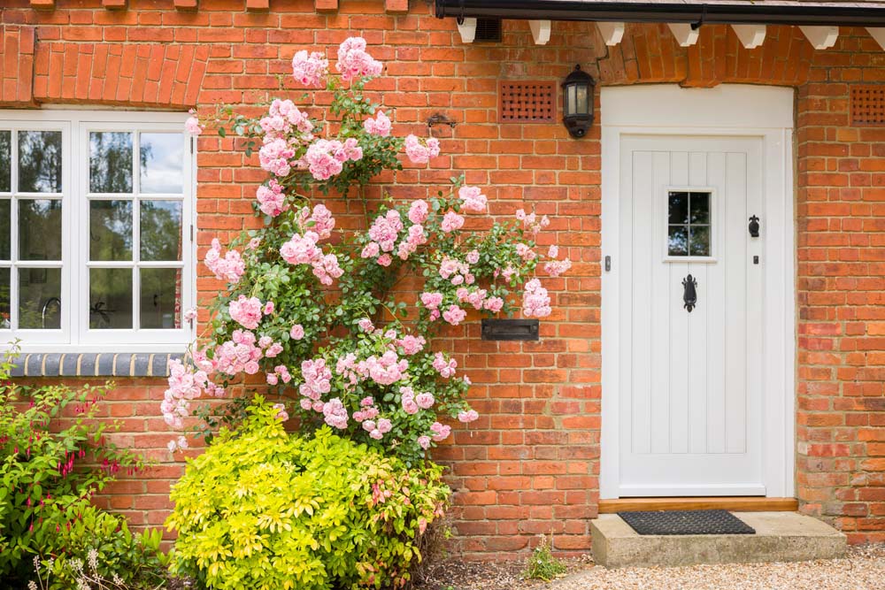 English Victorian home exterior with front door, wooden casement window and pink rose bush
